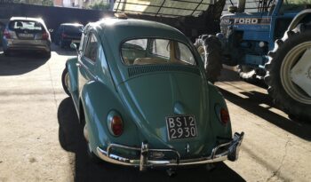 VW Maggiolino 1962 Turchis Blue completo