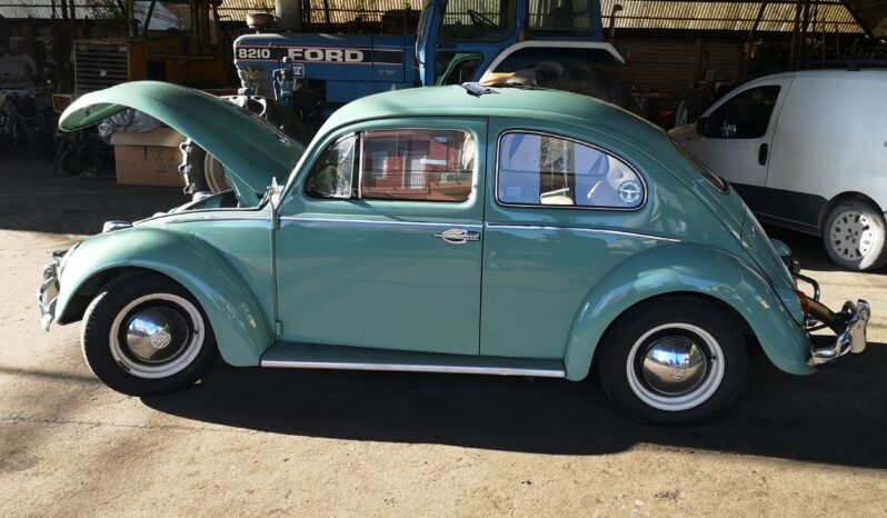 VW Maggiolino 1962 Turchis Blue completo